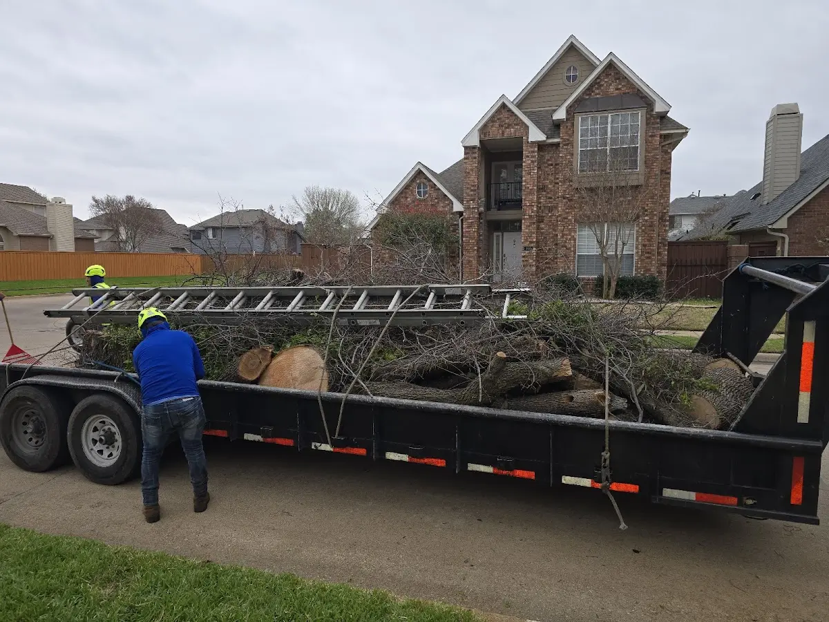 Expert Crown Reduction with proper safety equipment in Manville